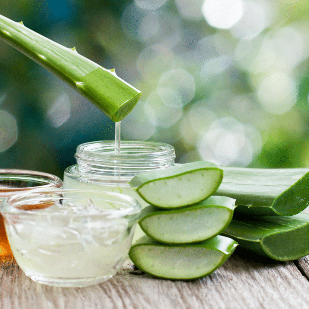 Aloe vera list i gel – prirodna hidratacija i njega kože
